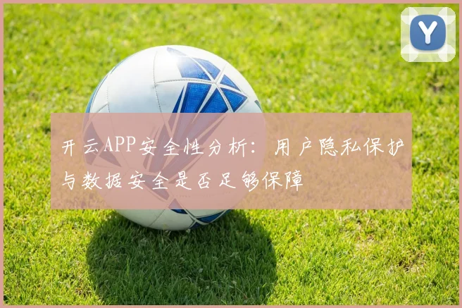 开云APP安全性分析：用户隐私保护与数据安全是否足够保障